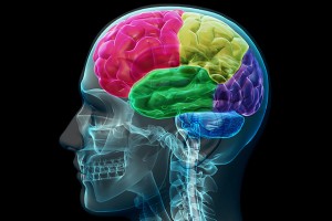 Can Concussions Intrefere With Brain Function